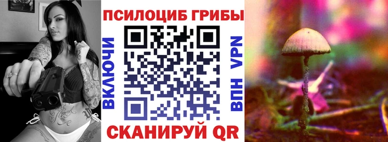 Псилоцибиновые грибы прущие грибы  Приозерск 